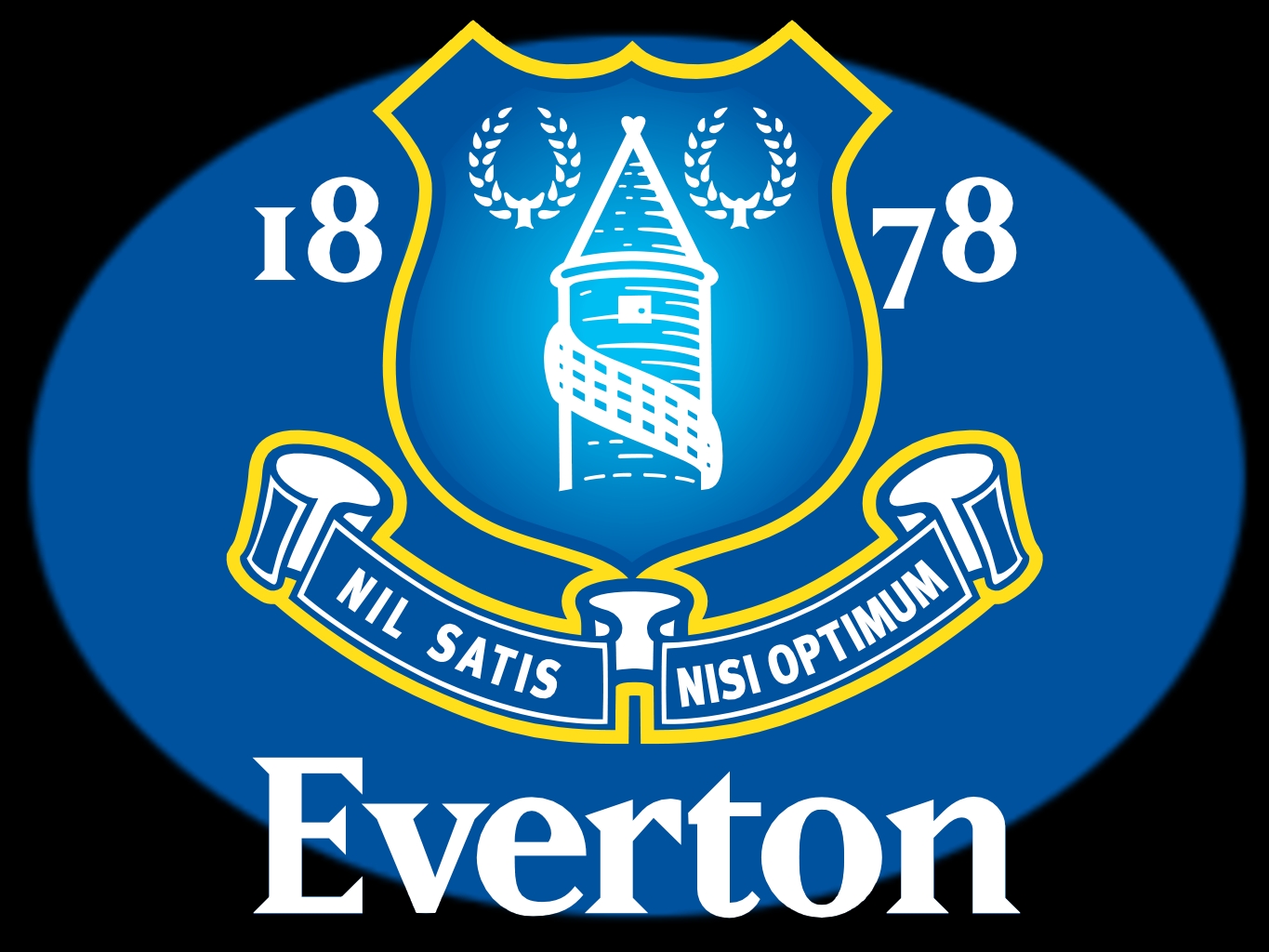 FC Everton 1 - English football fan chants and songs